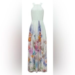 Ted Baker London Maxi Dress